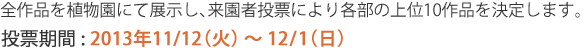 一次審査の審査員は、来園者の皆様となります。全作品を植物園にて展示し、投票により各部の上位10作品を決定します。投票期間は2013年11月12日火曜から12月1日日曜までです