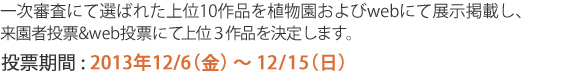 一次審査にて選ばれた上位10作品を植物園およびwebにて展示掲載し、企画展「植物アート展」期間中に来園者投票&web投票にて上位３作品を決定します。投票期間は2012年12月6日金曜から12月15日日曜までです