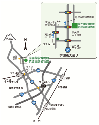 筑波実験植物園 アクセスマップ