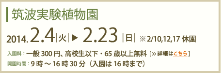 筑波実験植物園2013年2月5日～2月24日まで(2/12,18休園)入園料：一般300円高校生以下・65歳以上無料　開園時間：9時～16時30分(入園は16時まで)