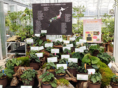 第２会場（多目的温室）