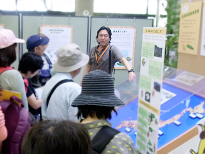 企画展案内の様子01