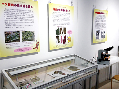 展示室の様子02