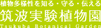 筑波実験植物園ロゴマーク