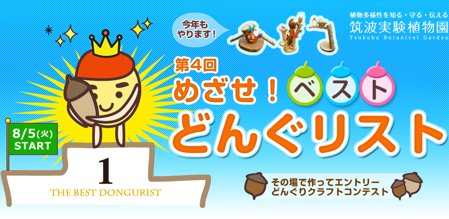 めざせ！ベストどんぐリスト2014 - 筑波実験植物園