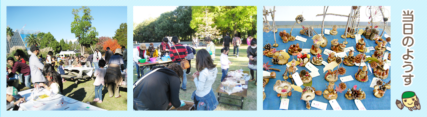 どんぐりストの様子