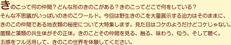 きのこって何の仲間？どんな形のきのこがある？きのこってどこで何をしている？そんな不思議がいっぱいのきのこワールド。今回は野生きのこを大量展示する迫力はそのままに、きのこの仲間である地衣類の秘密について大特集します。見た目はコケのようだけどコケじゃない。菌類と藻類の共生体がその正体。きのことその仲間を見る、触る、味わう、匂う、そして聴く。五感をフル活用して、きのこの世界を体験してください。