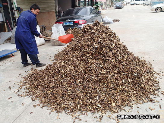 食用きのこ処理1