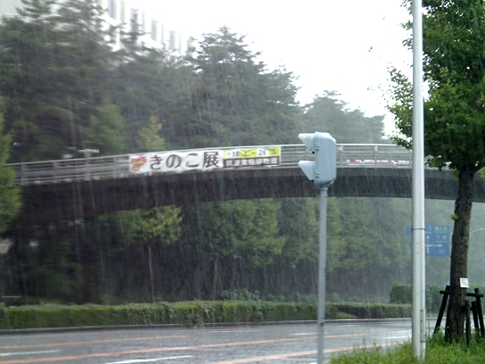 きのこ展横断幕