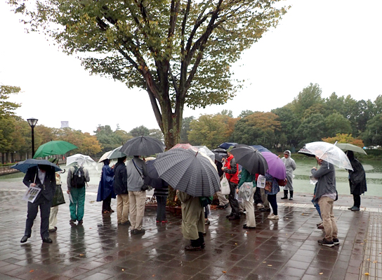 現地観察の様子