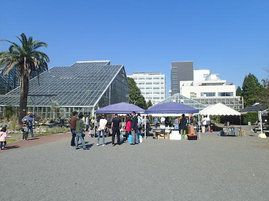 きのこ展の様子