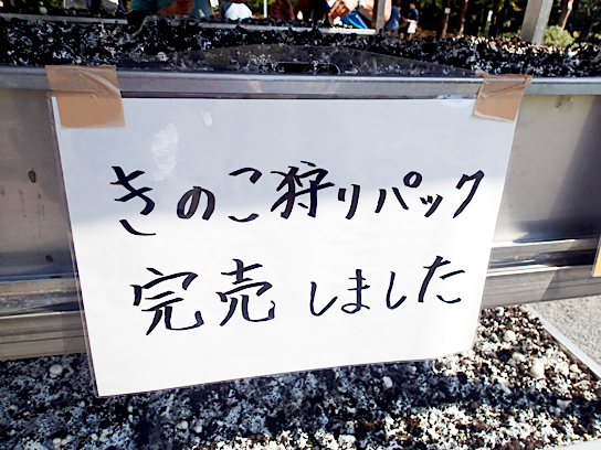 マッシュルームつかみどりの様子03