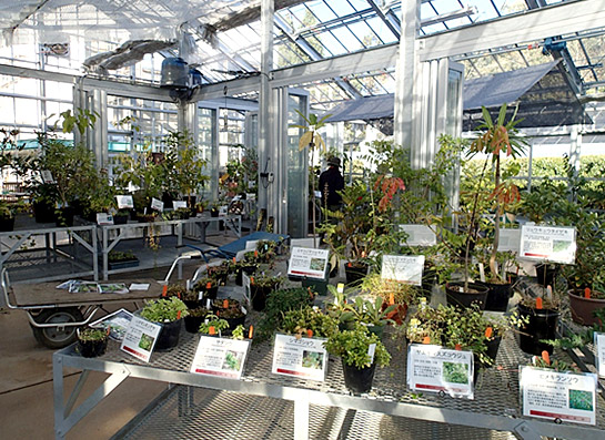 筑波実験植物園 多目的音質