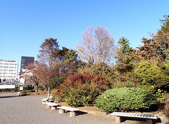 ありがとうございました。