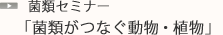 菌類セミナー「菌類がつなぐ動物・植物」