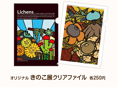 きのこ展オリジナル：クリアファイル（各300枚限定