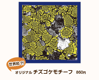 きのこ展オリジナル：大判ハンカチ（各200枚限定）