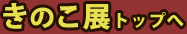 きのこ展トップへ