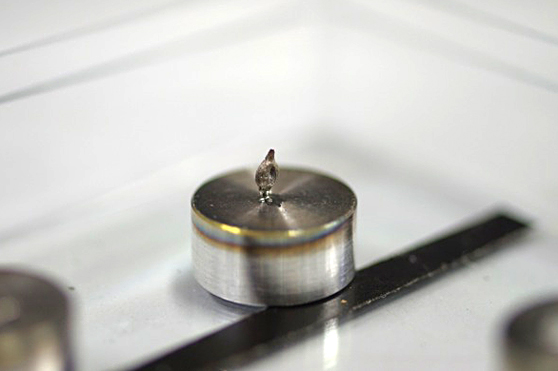 メソフォッシルの一例