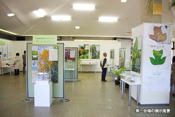 第一会場の展示風景