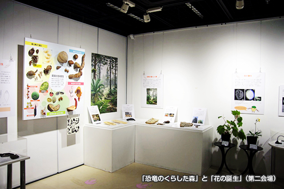 「恐竜のくらした森」と「花の誕生」（第二会場）