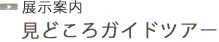 見どころガイドツアー