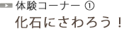 化石にさわろう