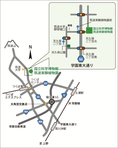 筑波実験植物園 アクセスマップ