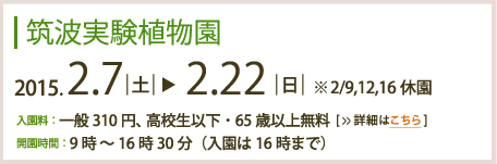 筑波実験植物園2013年2月5日～2月24日まで(2/12,18休園)入園料：一般300円高校生以下・65歳以上無料　開園時間：9時～16時30分(入園は16時まで)