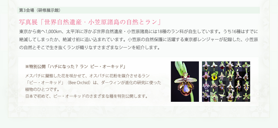 「世界自然遺産・小笠原諸島の自然とラン」東京から南へ1,000km、太平洋に浮かぶ世界自然遺産・小笠原諸島には18 種のラン科が自生しています。うち16種はすでに絶滅してしまったか、絶滅寸前に追い込まれています。小笠原の自然保護に活躍する東京都レンジャーが記録した、小笠原の自然とそこで生き抜くランが織り
なすさまざまなシーンを紹介します。