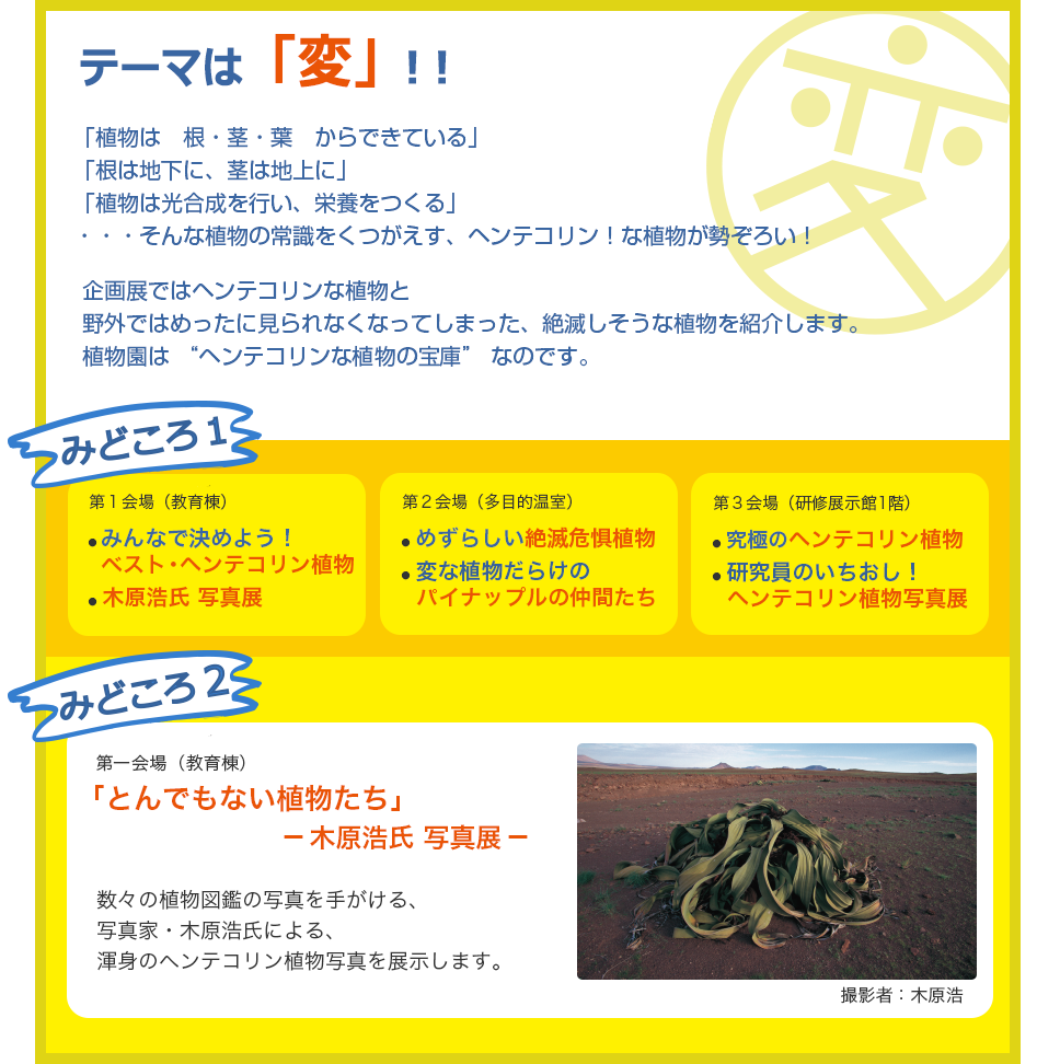 テーマは変！「植物は　根・茎・葉　からできている」「根は地下に、茎は地上に」「植物は光合成を行い、栄養をつくる」        
・・・そんな植物の常識をくつがえす、ヘンテコリン！な植物が勢ぞろい！企画展ではヘンテコリンな植物と
野外ではめったに見れなくなってしまっためずらしい絶滅危惧植物をご紹介します。
じつは、植物園は “ヘンテコリンな植物の宝庫” なのです。
