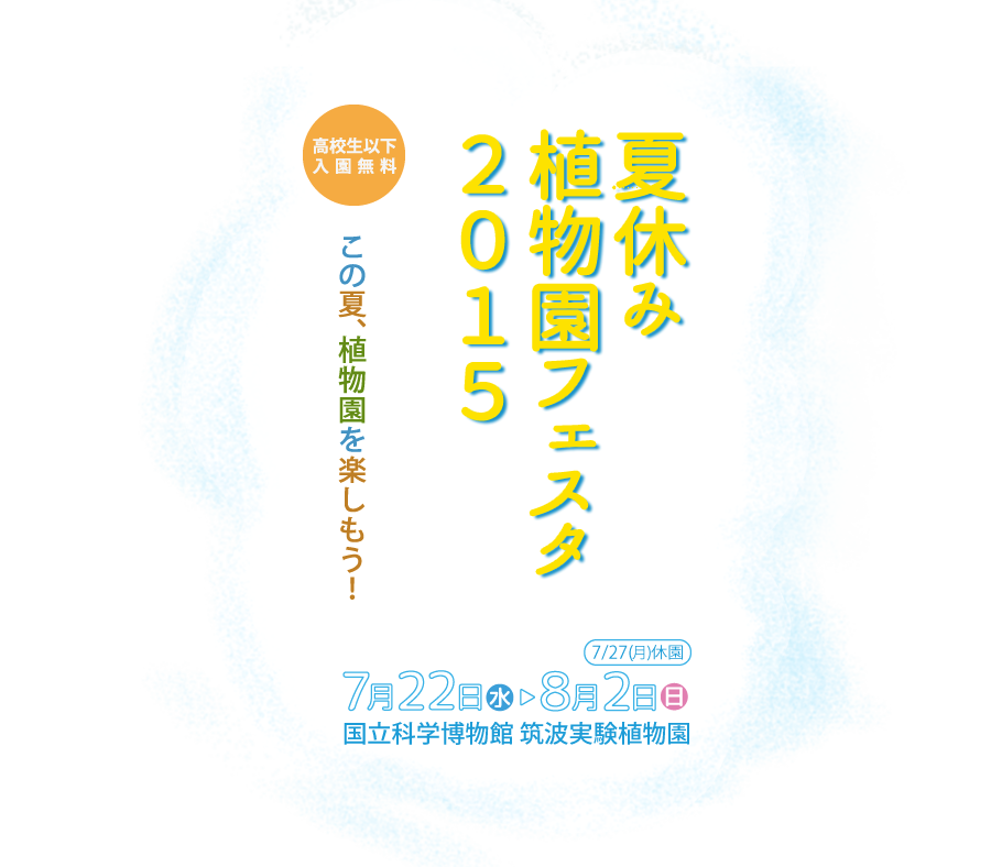 夏休みフェスタ2015