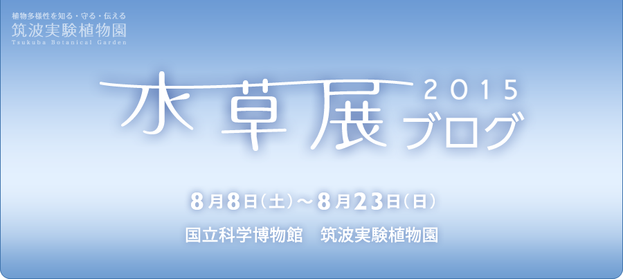 水草展2015ブログ