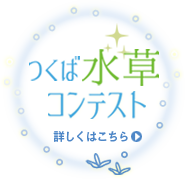 つくば水草コンテスト