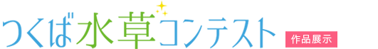 水草コンテスト 作品展示