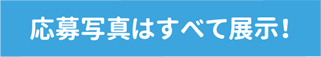 応募写真はすべて展示