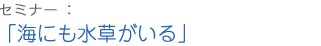 海にも水草がいる