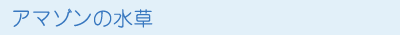 アマゾンの水草