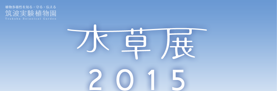 水草展2015「海に生きる水草」