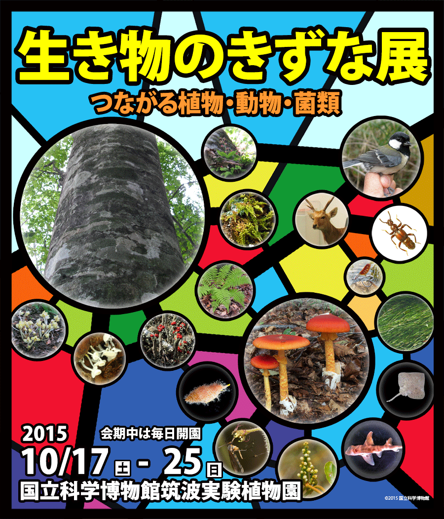 生き物のきずな展2015