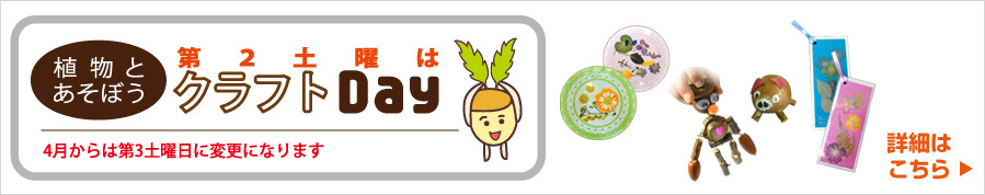 植物とあそぼう。第2土曜はクラフトデー！植物を使った工作体験を開催しています。詳細はこちら