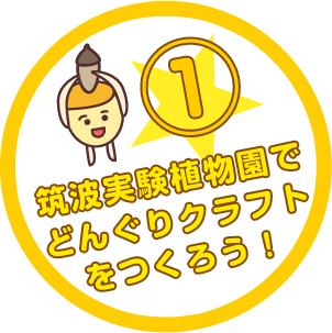 筑波実験植物園でどんぐりクラフトをつくろう!
