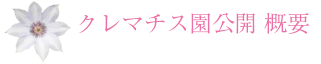 クレマチス園公開　概要
