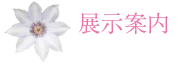 展示案内