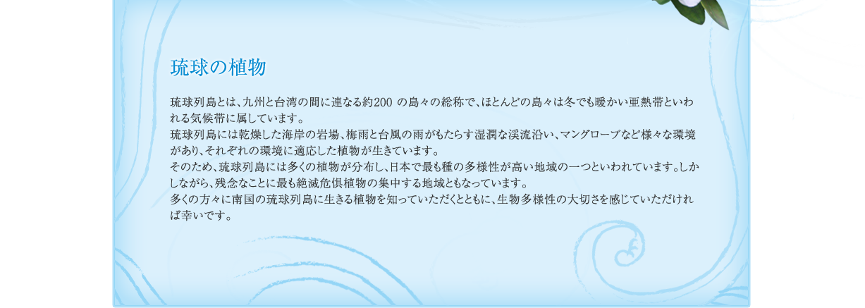 琉球列島には多くの植物が分布し、日本でも多様性が高い地域の一つといわれています。しかしながら、残念なことにもっとも絶滅危惧種の集中する地域ともなっています。多くの方々に南国の琉球列島に生きる植物を知っていただくとともに、生物多様性の大切さを感じていただければと幸いです。