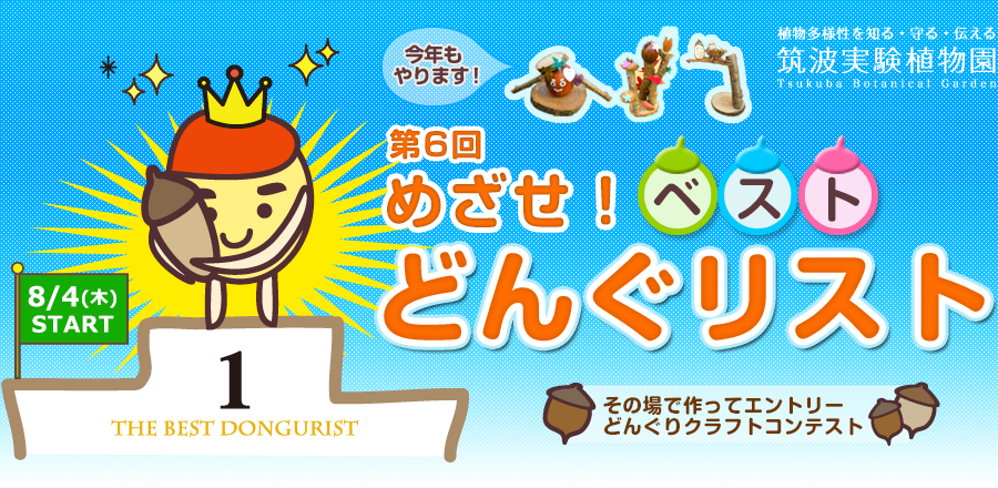 めざせ！ベストどんぐリスト2016 - 筑波実験植物園