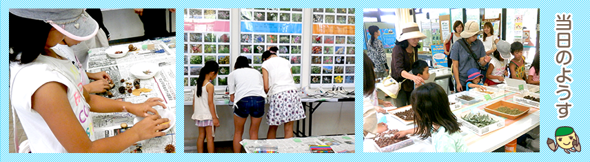 どんぐりストの様子