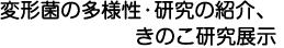変形菌の多様性・研究の紹介、きのこ研究展示
