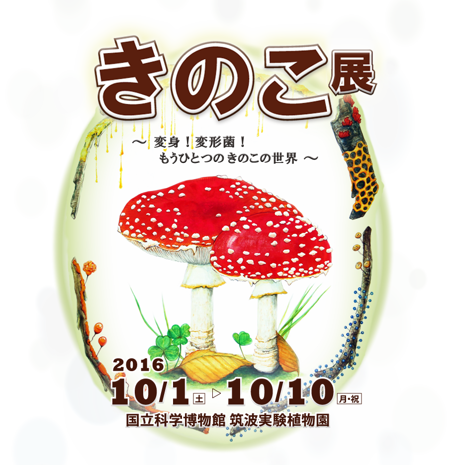 きのこ展2016「変身！変形菌！～もうひとつのきのこの世界～」