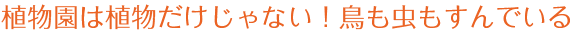 植物園は植物だけじゃない！鳥も虫もすんでいる